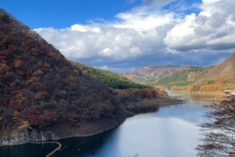 各種施設内研修