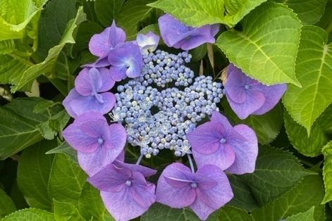 PONTEのグループホーム（包括型）